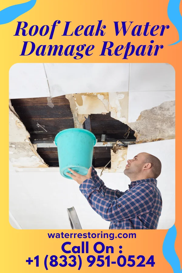 Roof Leak Water Damage Repair in Santa Clara, OR